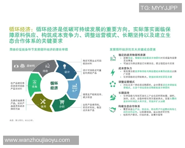 北京篮球队转型之路探索新机遇与挑战的深度分析与展望 北京篮球队转型之路探索新机遇与挑战的深度分析与展望