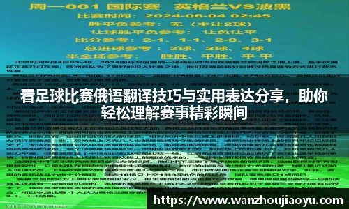 乐盈VI