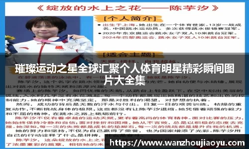 乐盈VI