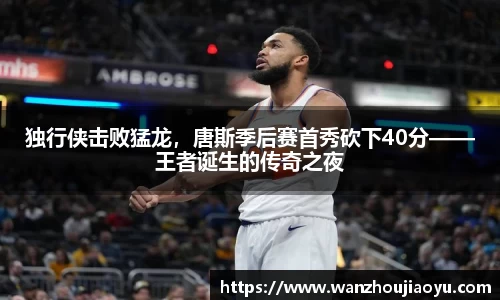 乐盈VI