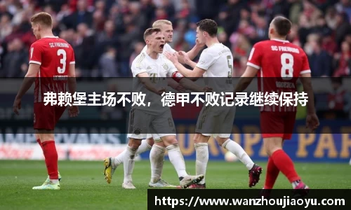 弗赖堡主场不败，德甲不败记录继续保持