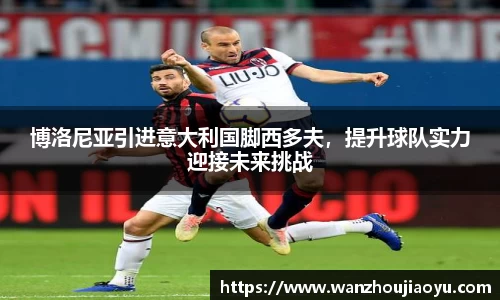 乐盈VI