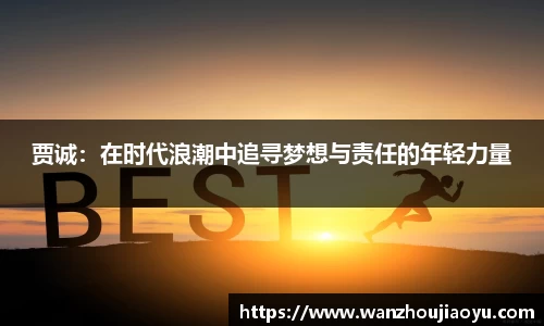 乐盈VI