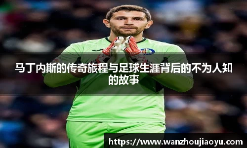 乐盈VI