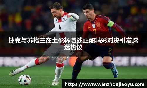 乐盈VI