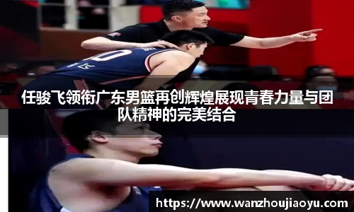 乐盈VI