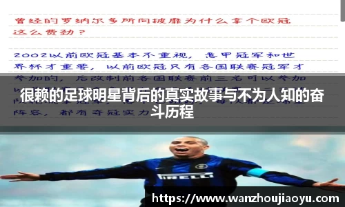 乐盈VI